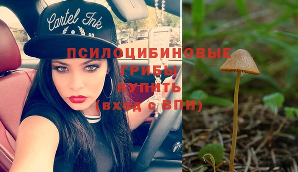 стаф Балабаново