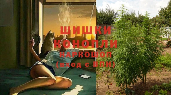 стаф Балабаново